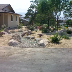 Front yard landscape with boulders, plants, trees, and a driveway